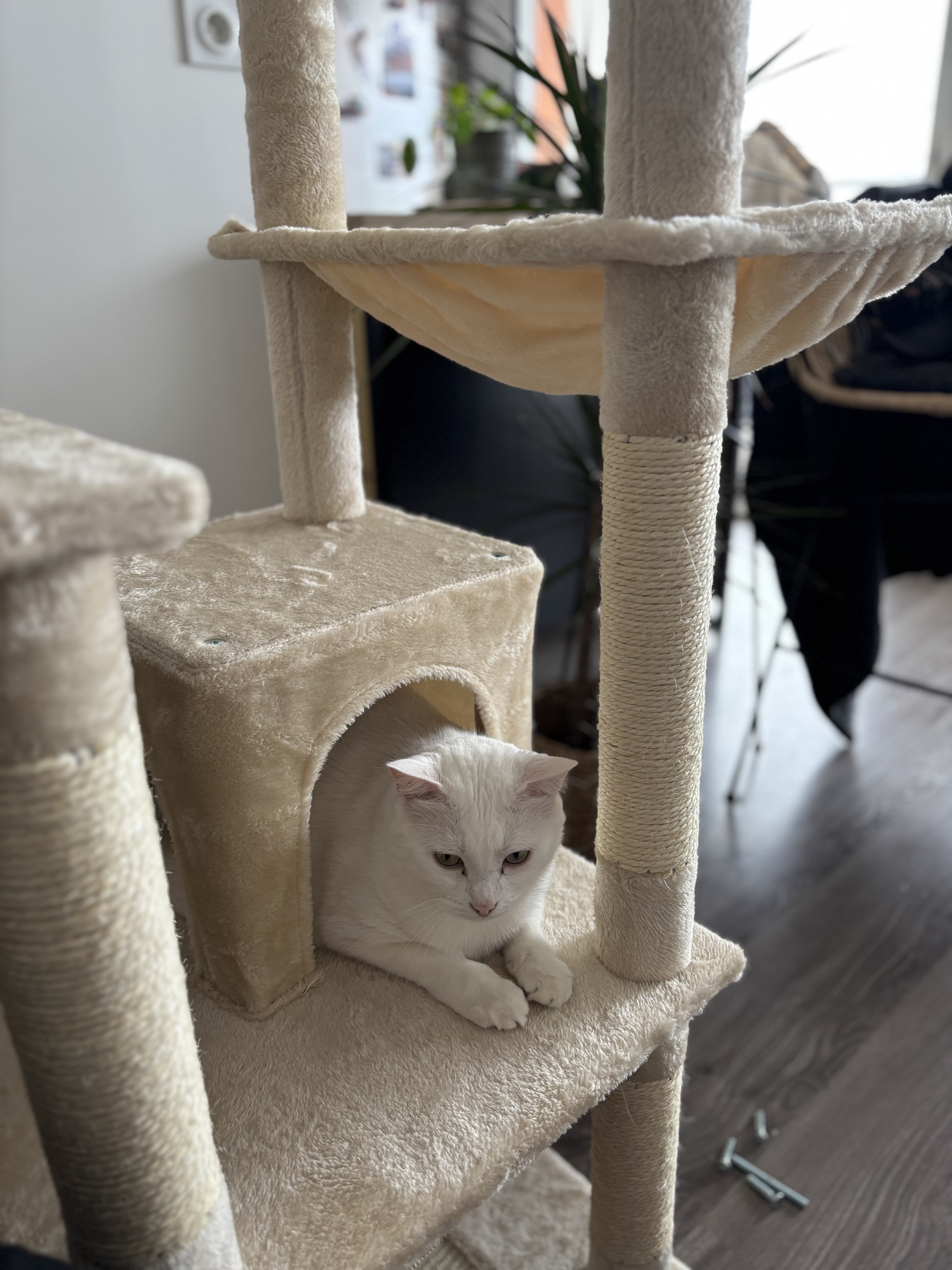 Arbre à Chat Haut - Vue 2